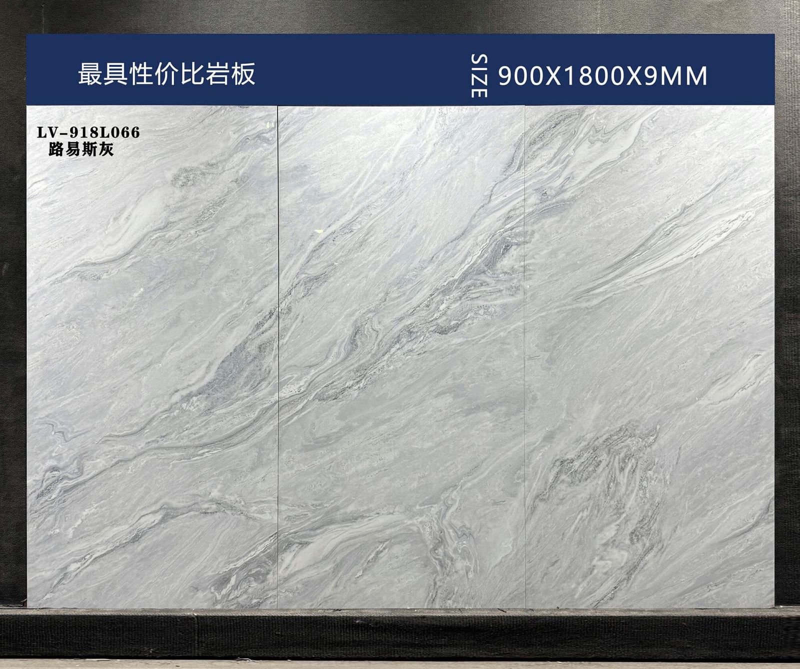 LU YI SI HUI - صورة حقيقية