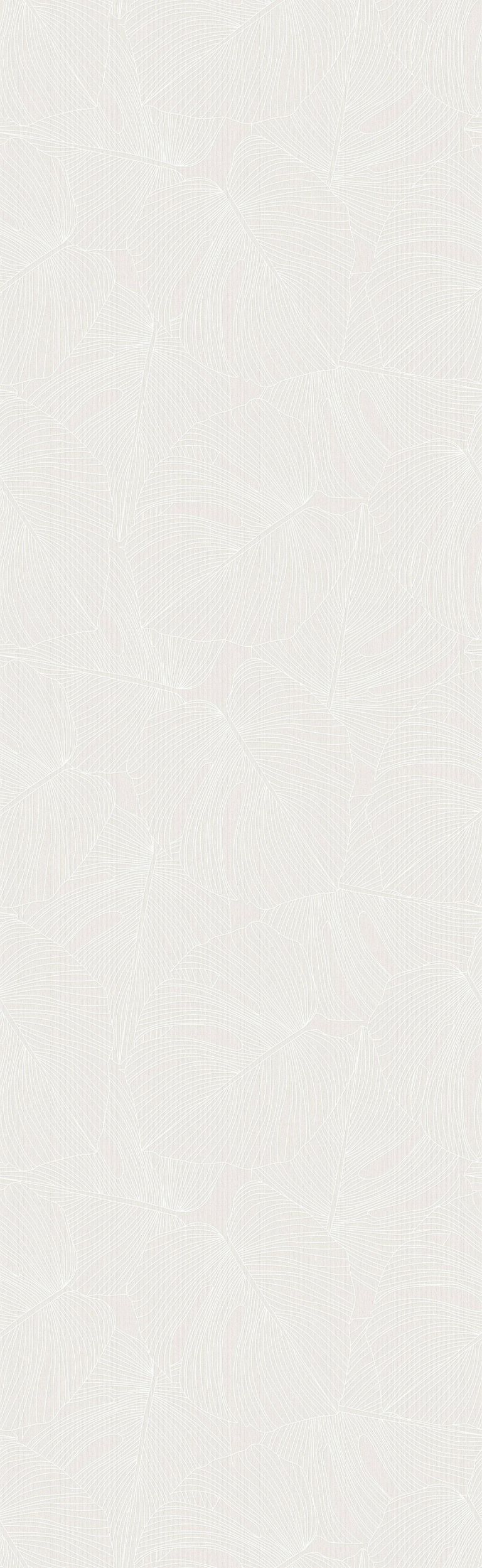 大叶有成 米白