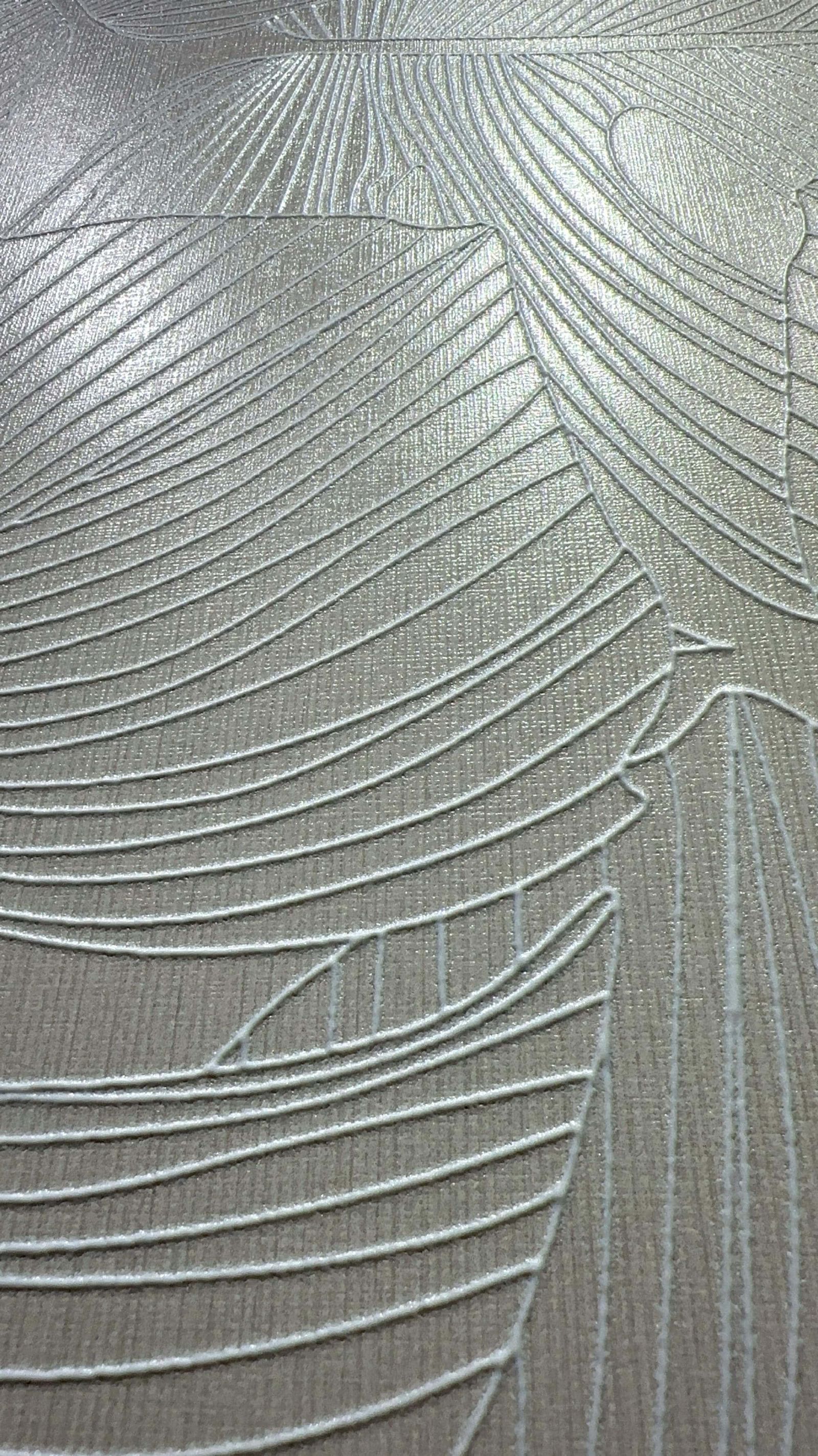 大叶有成 米白