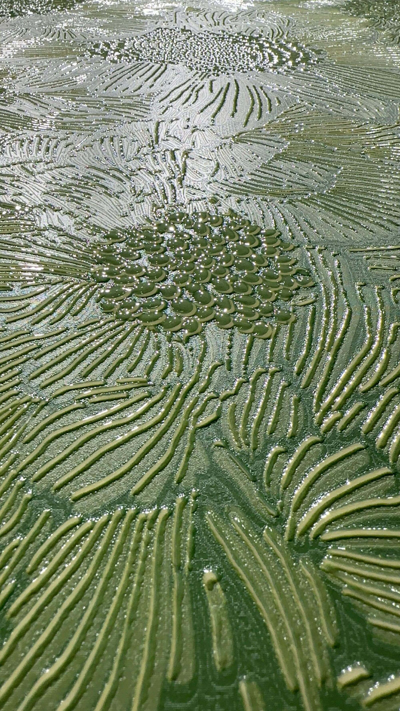 花悦 绿