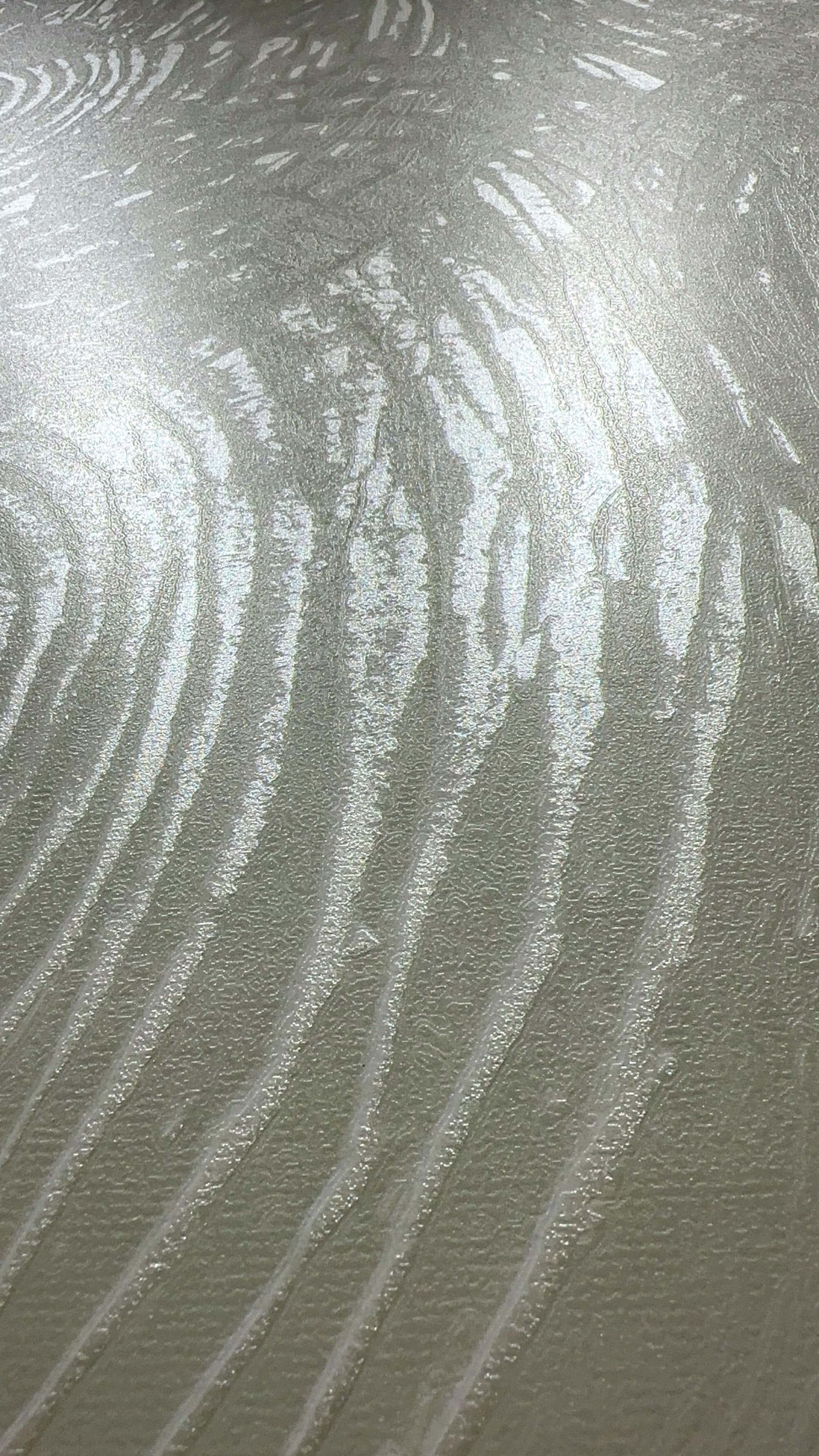 影