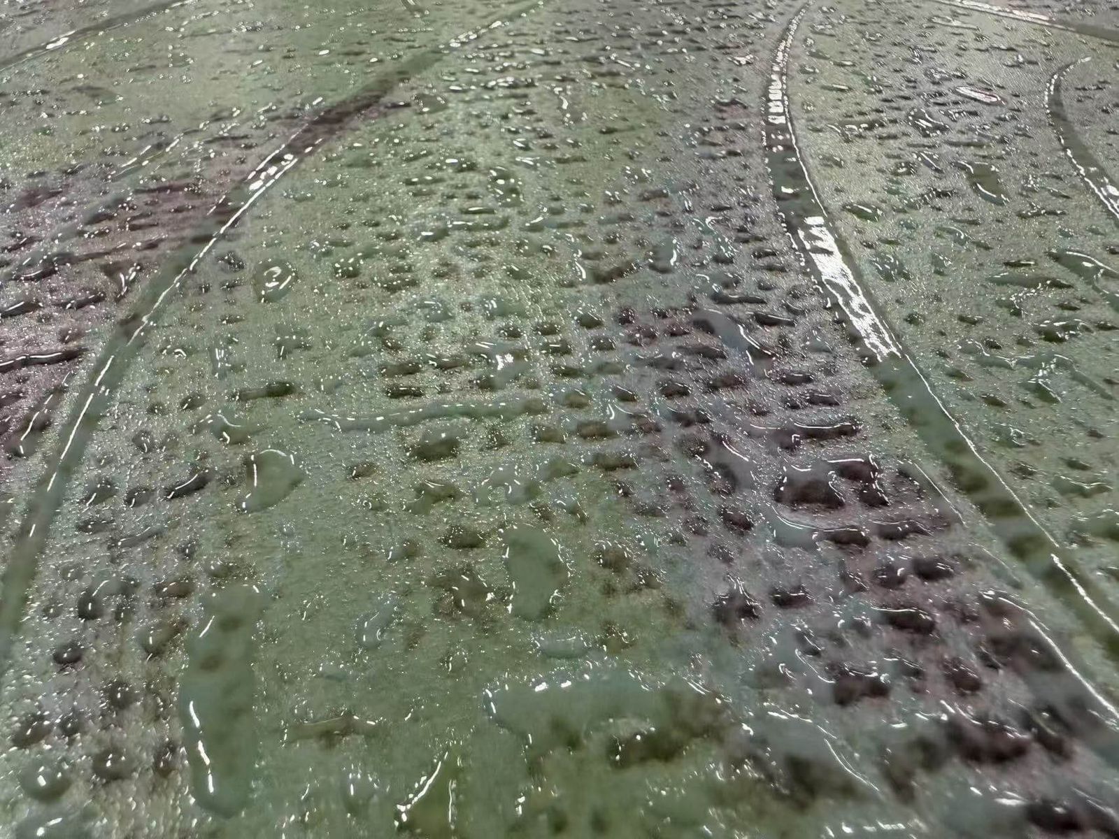 热带雨林