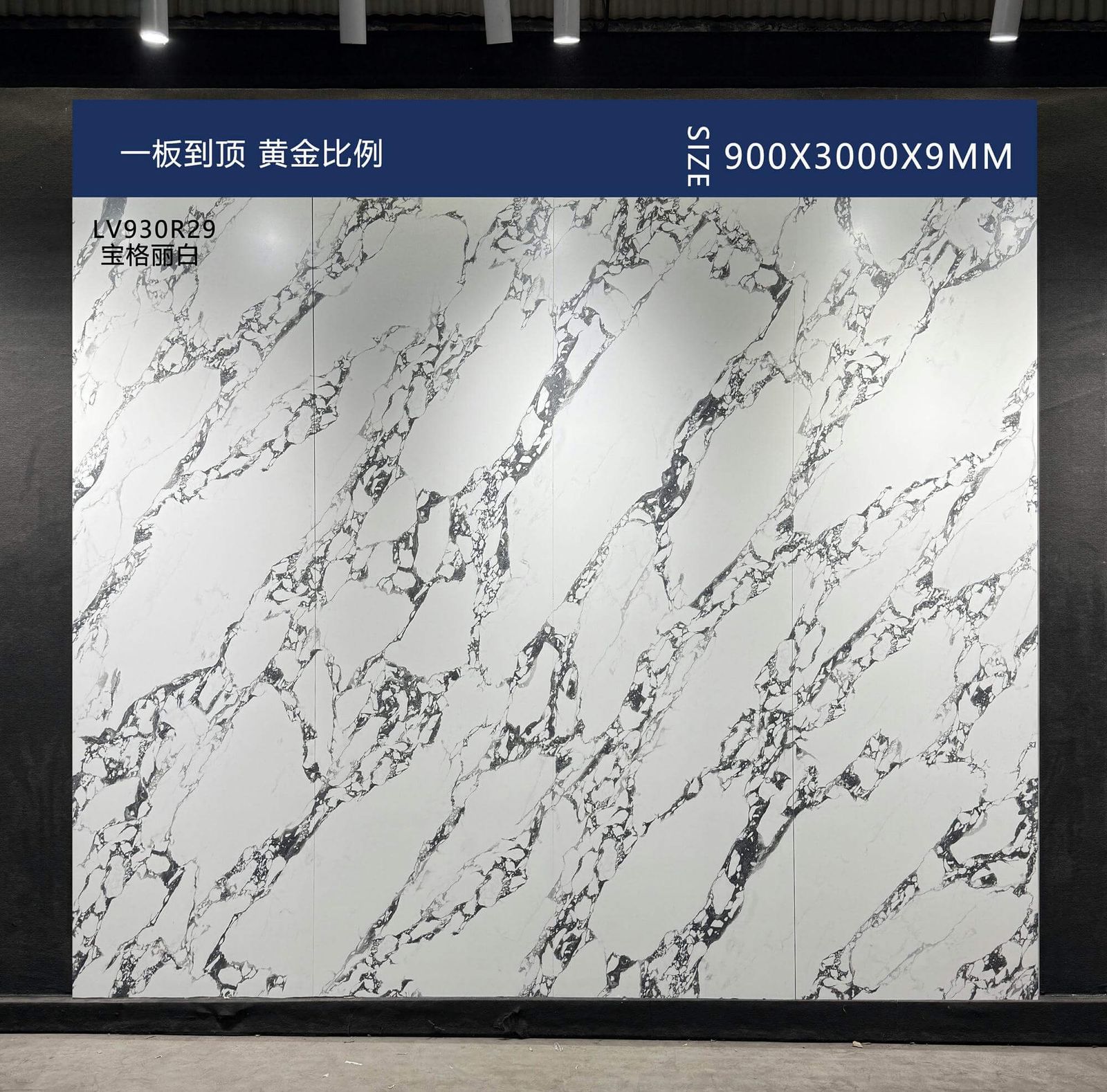 BAO GE LI BAI - صورة حقيقية