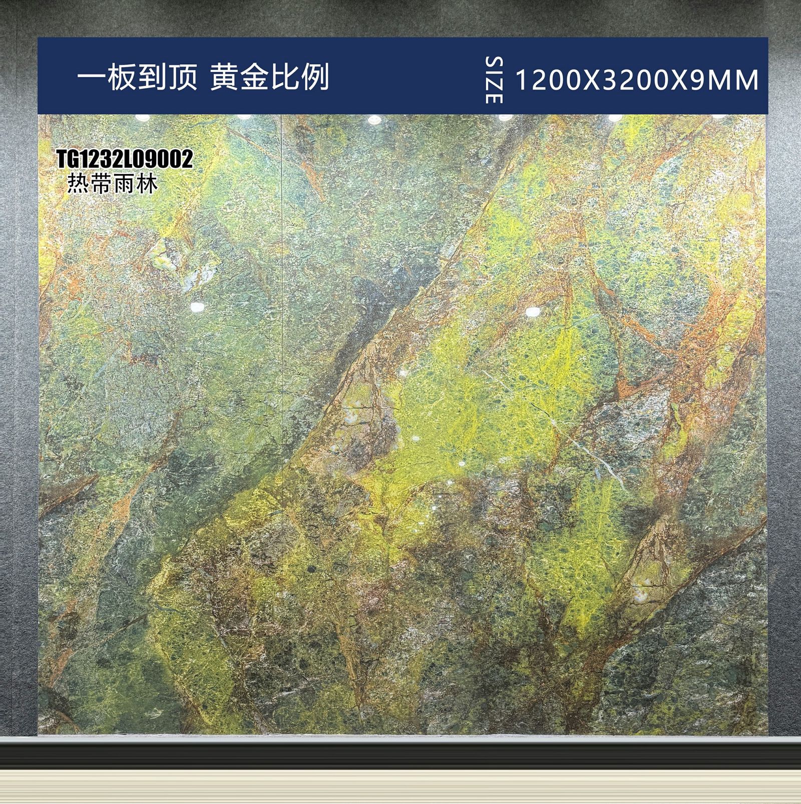 热带雨林实拍图4