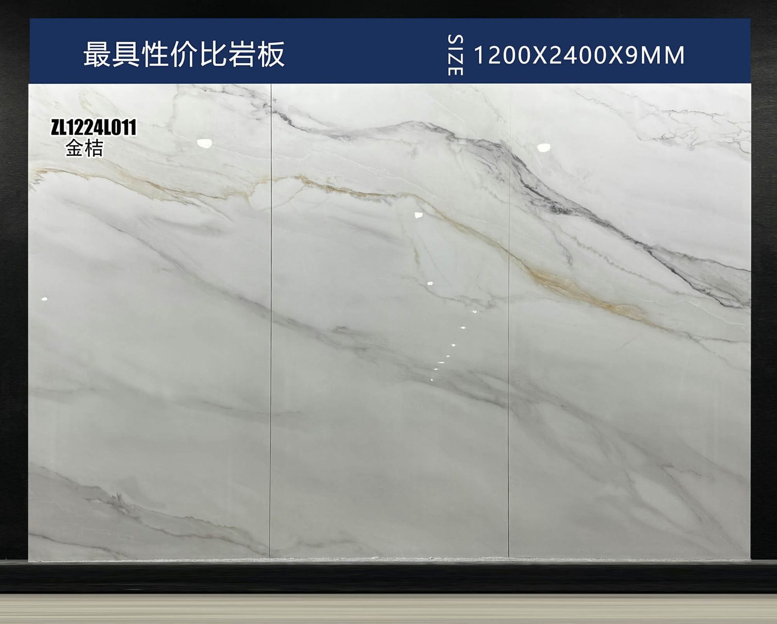金桔实拍图2