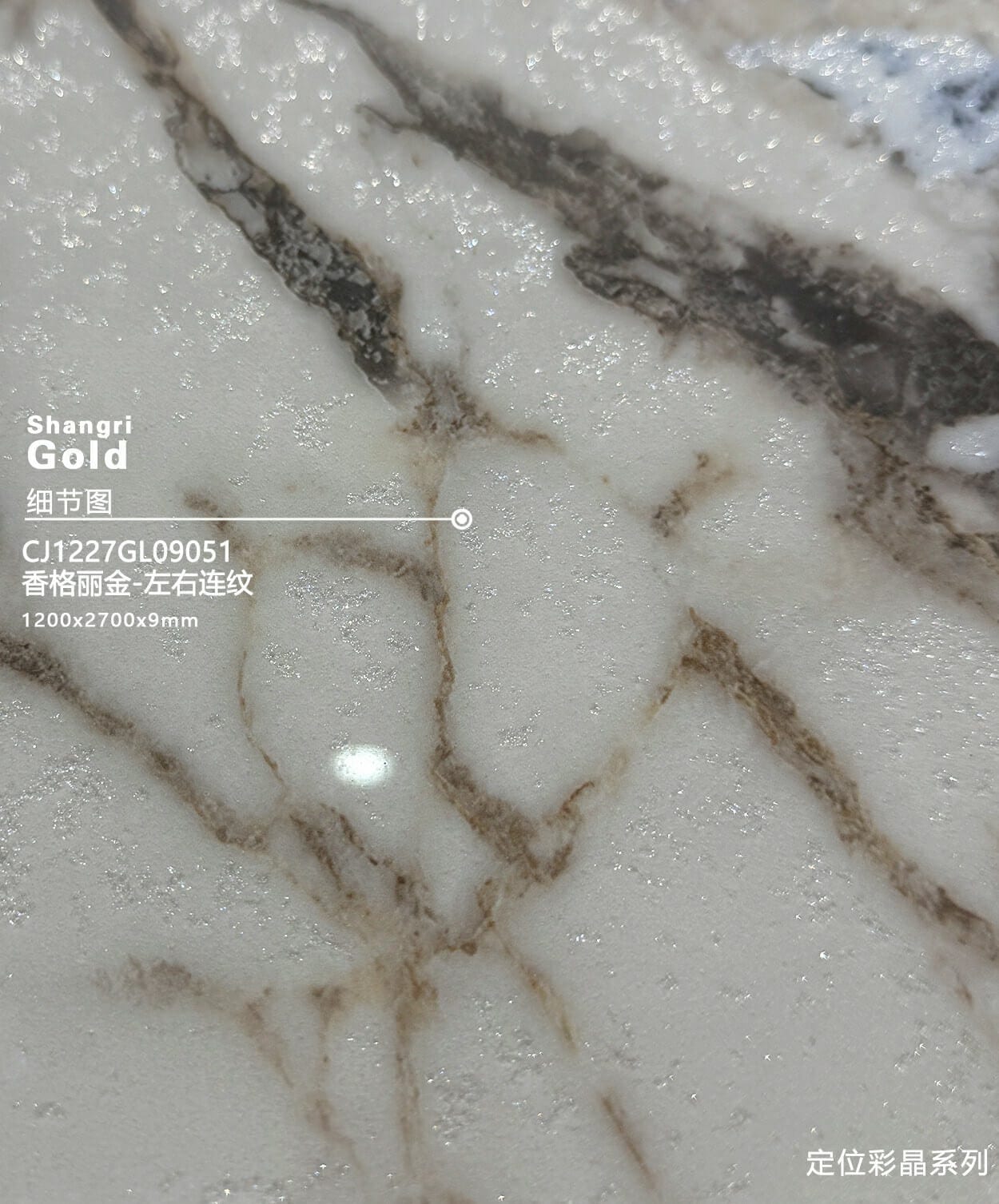 CJ1227GL09051香格丽金工地实拍图