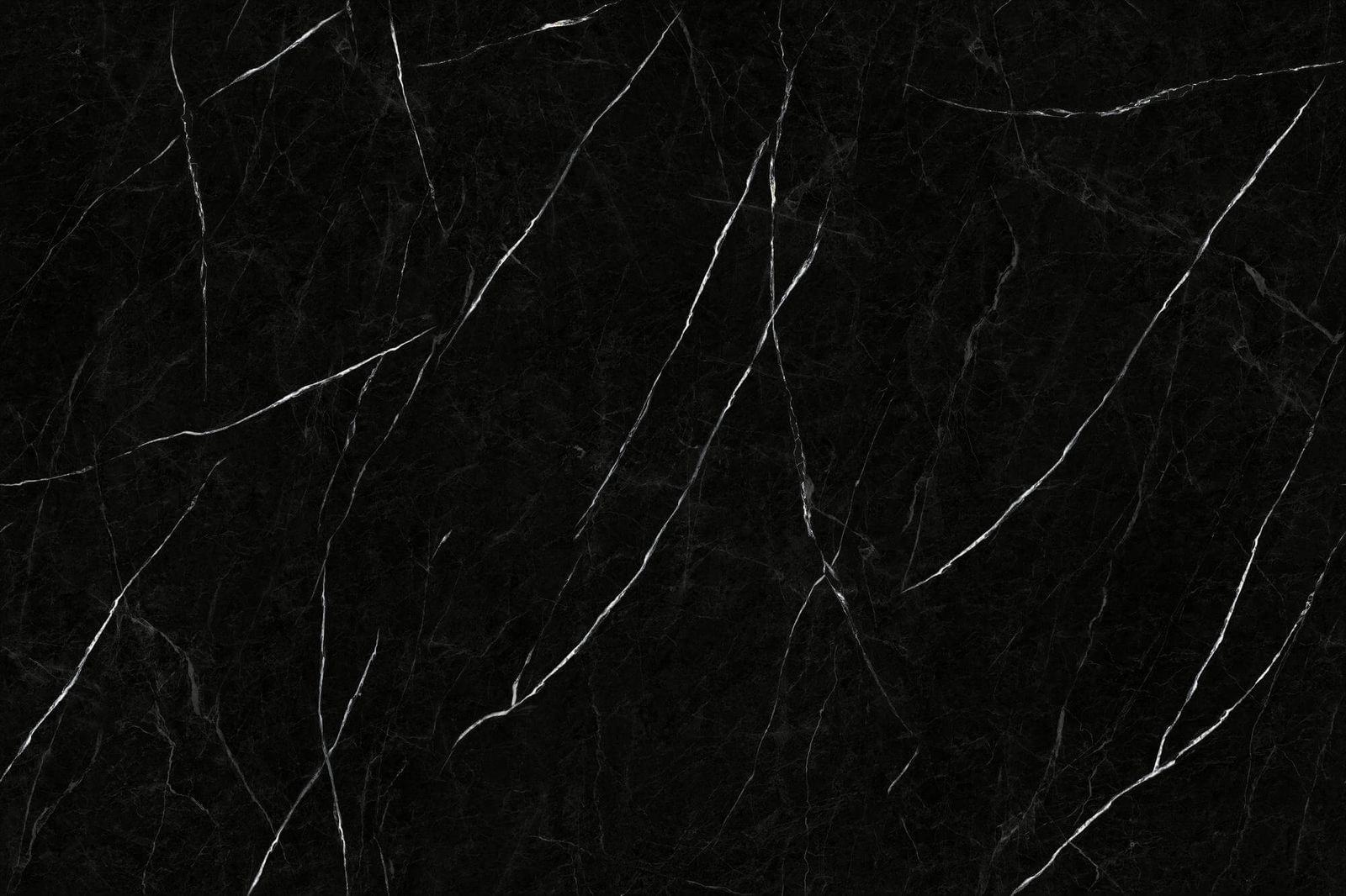 XIN HEI BAI GEN - element view