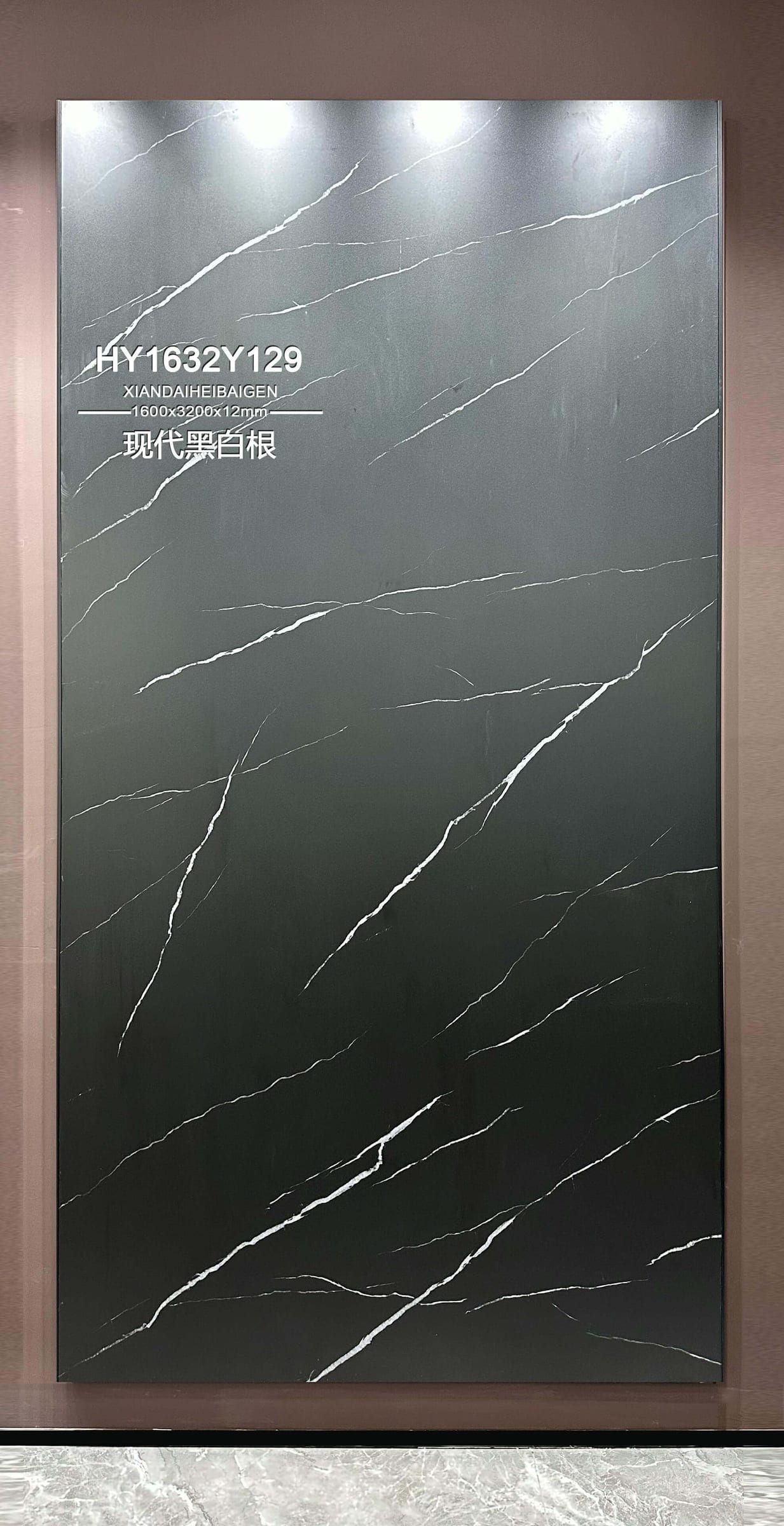 现代黑白根工地实拍图