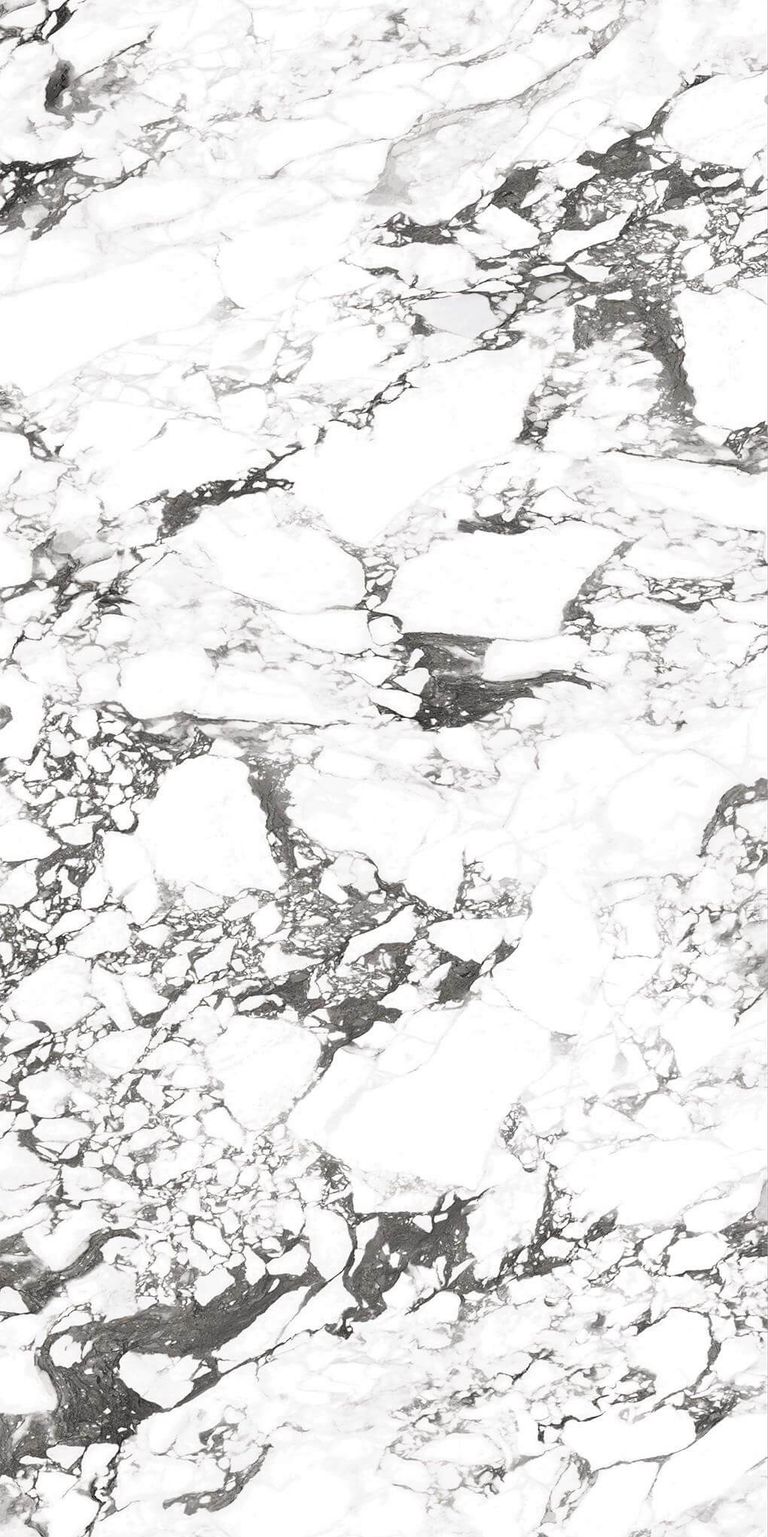 宝格丽白