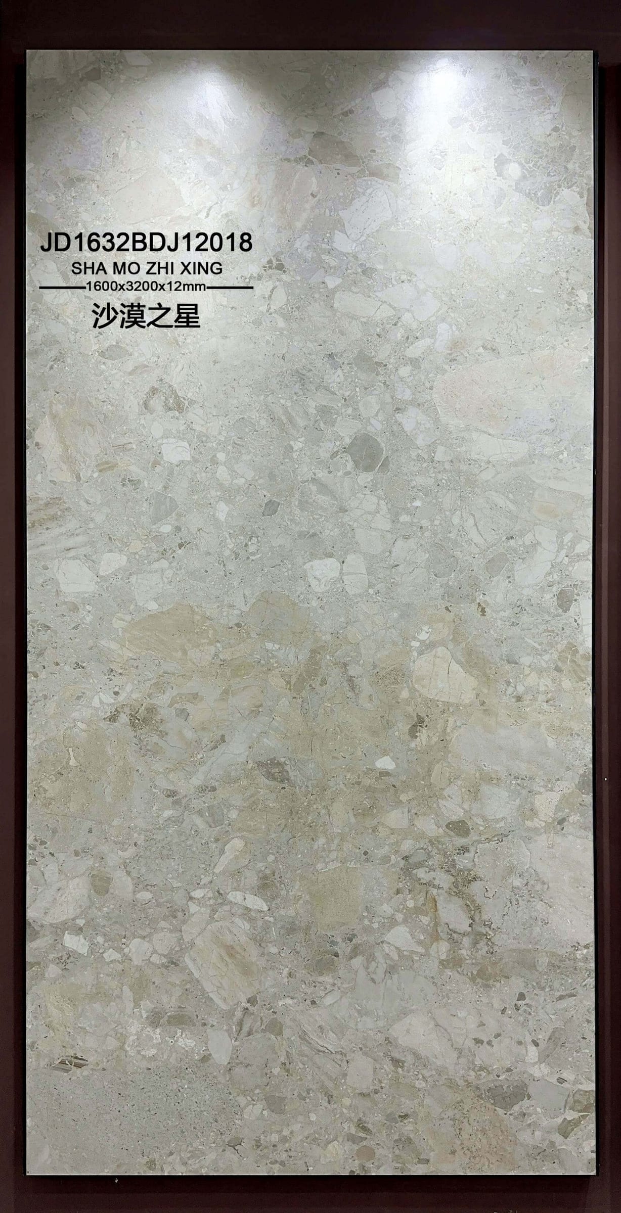 沙漠之星工地实拍图