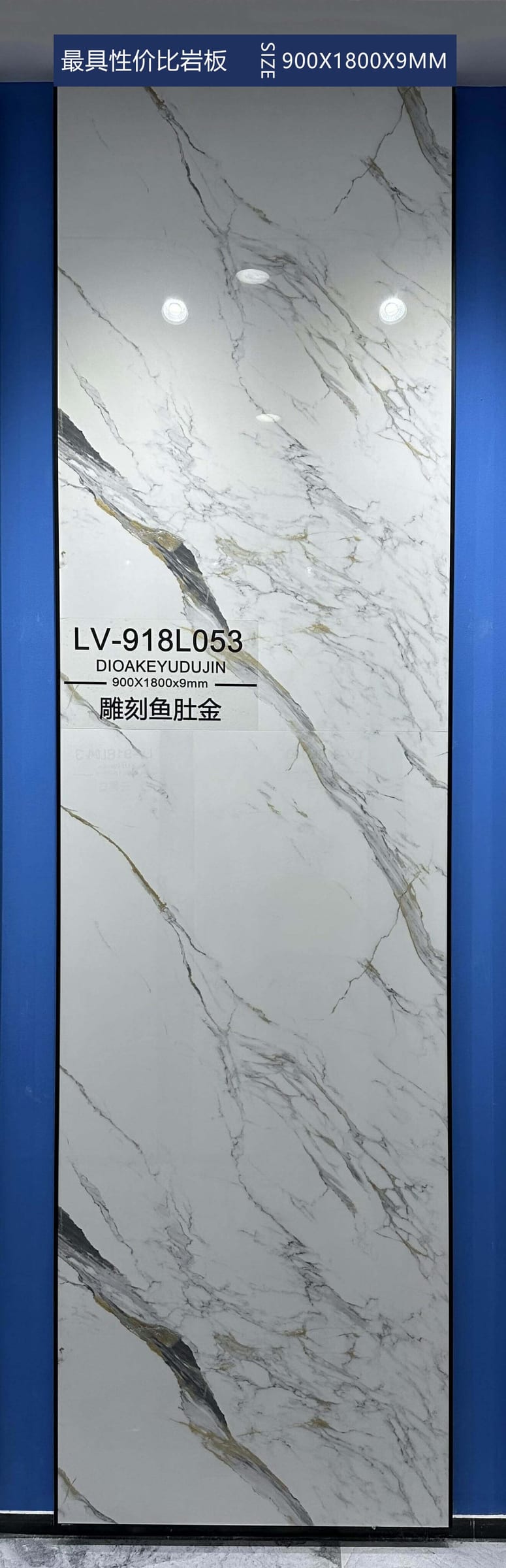 LV‑918L053工地实拍图