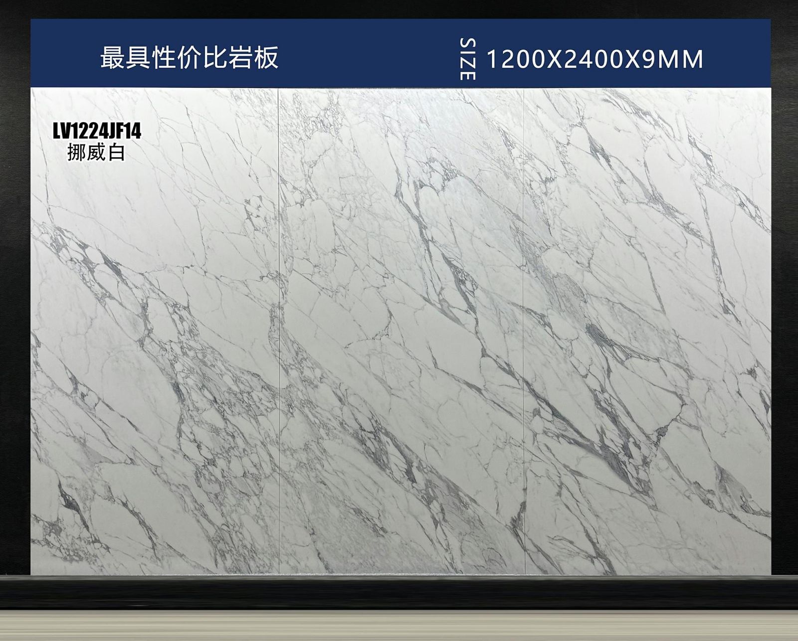 挪威白工地实拍图