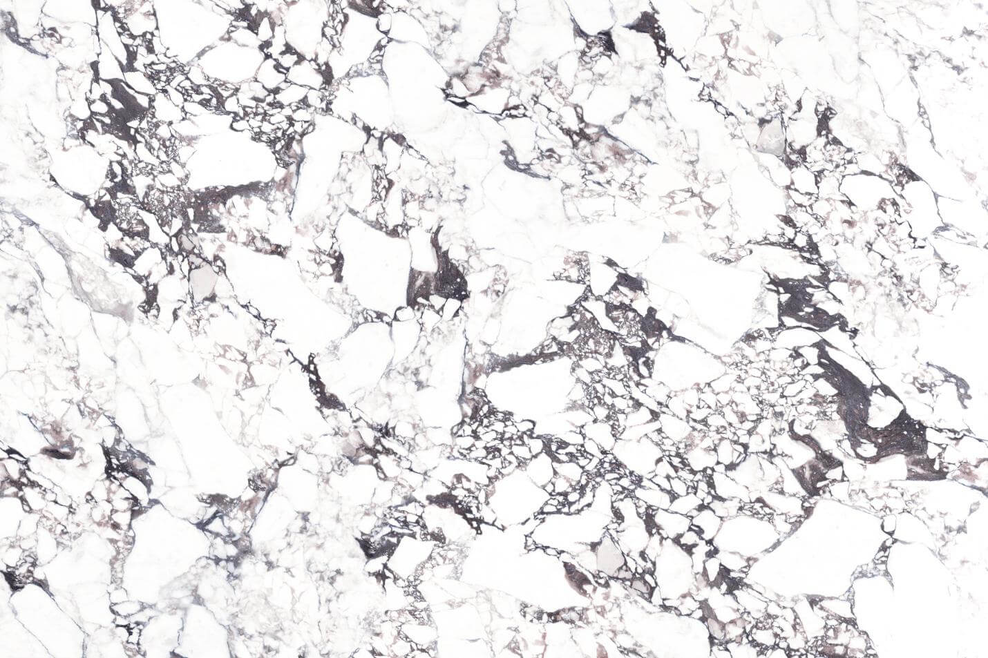 BAO GE LI ZI - element view