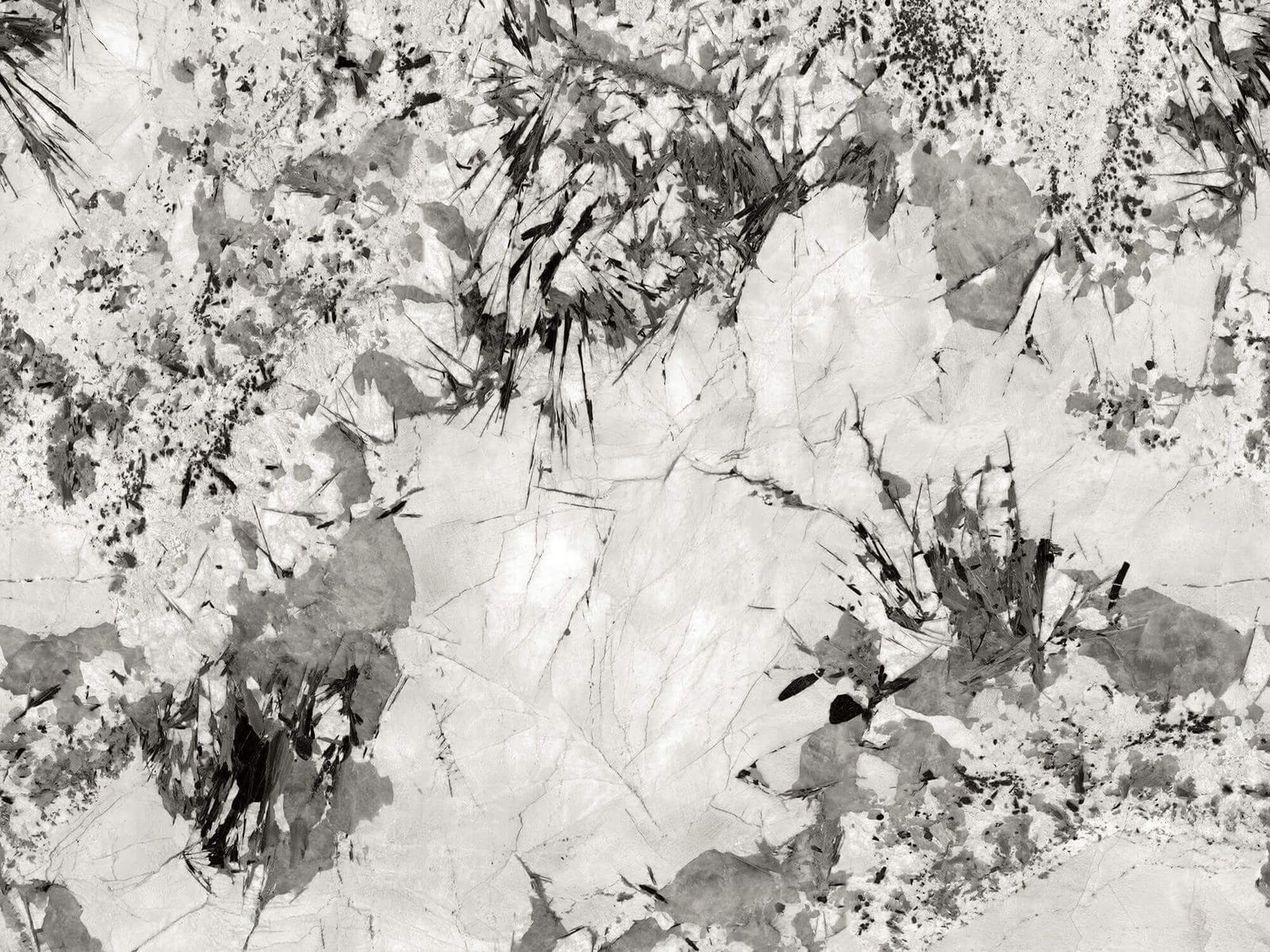 XUE SHAN FEI HU - element view