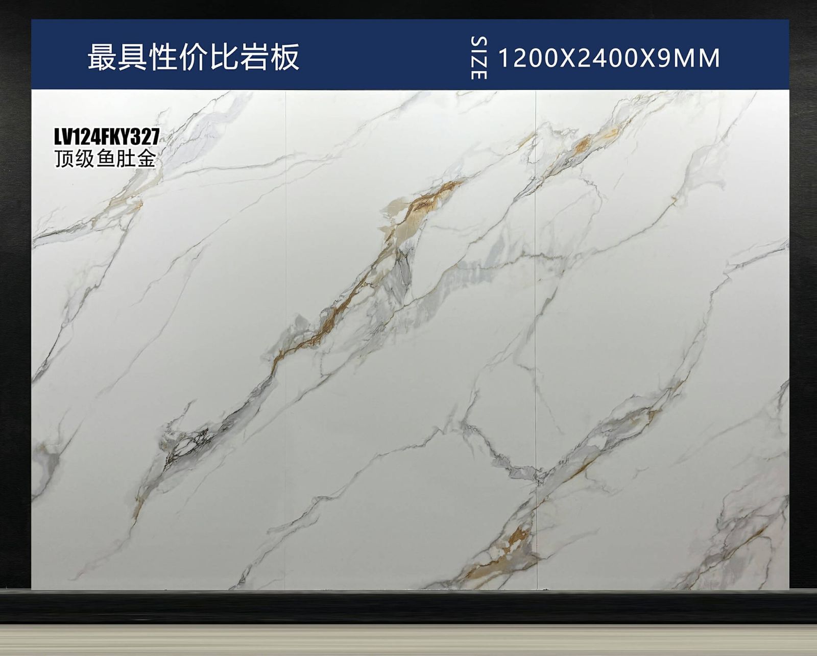 顶级鱼肚金工地实拍图
