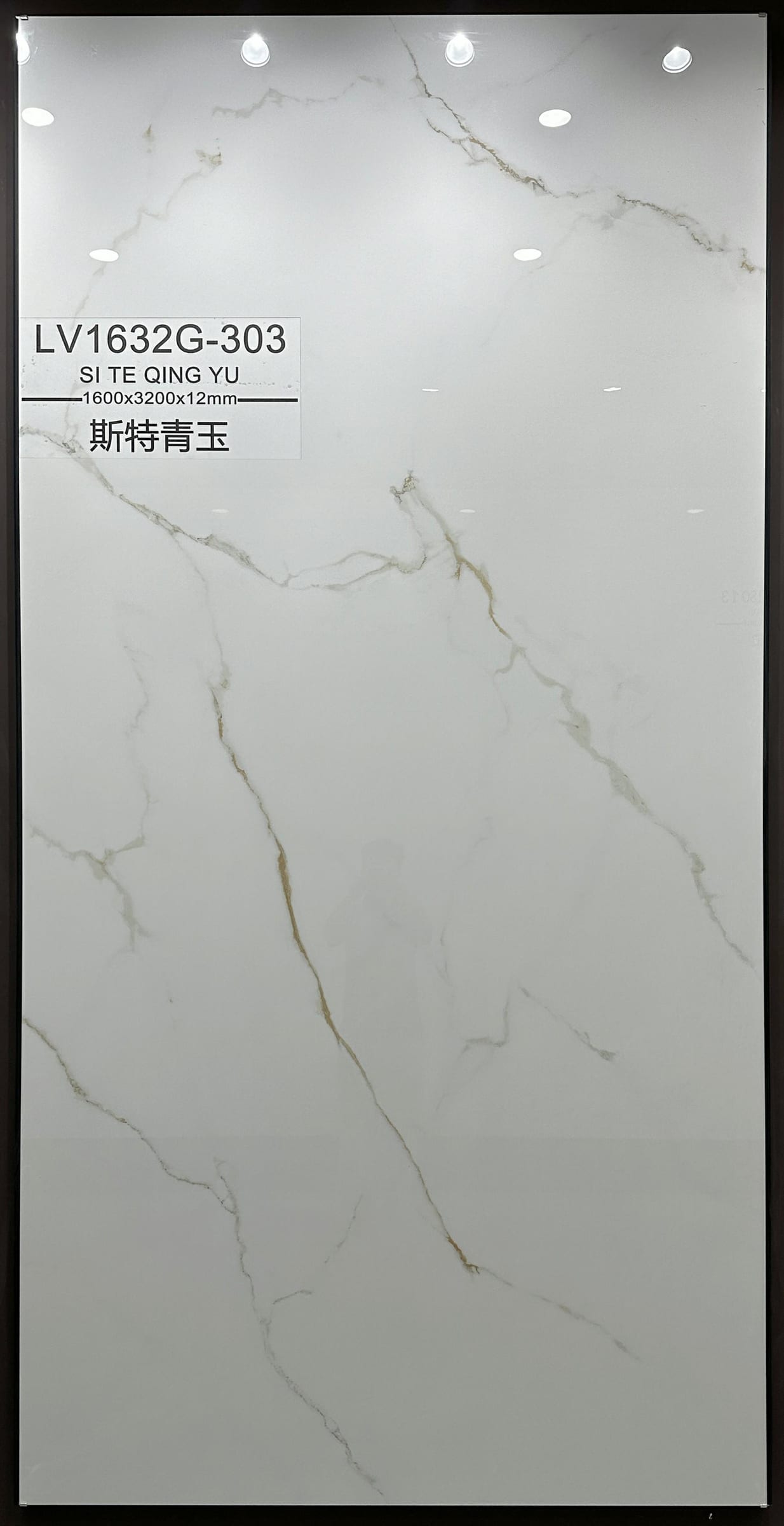 斯特青玉工地实拍图