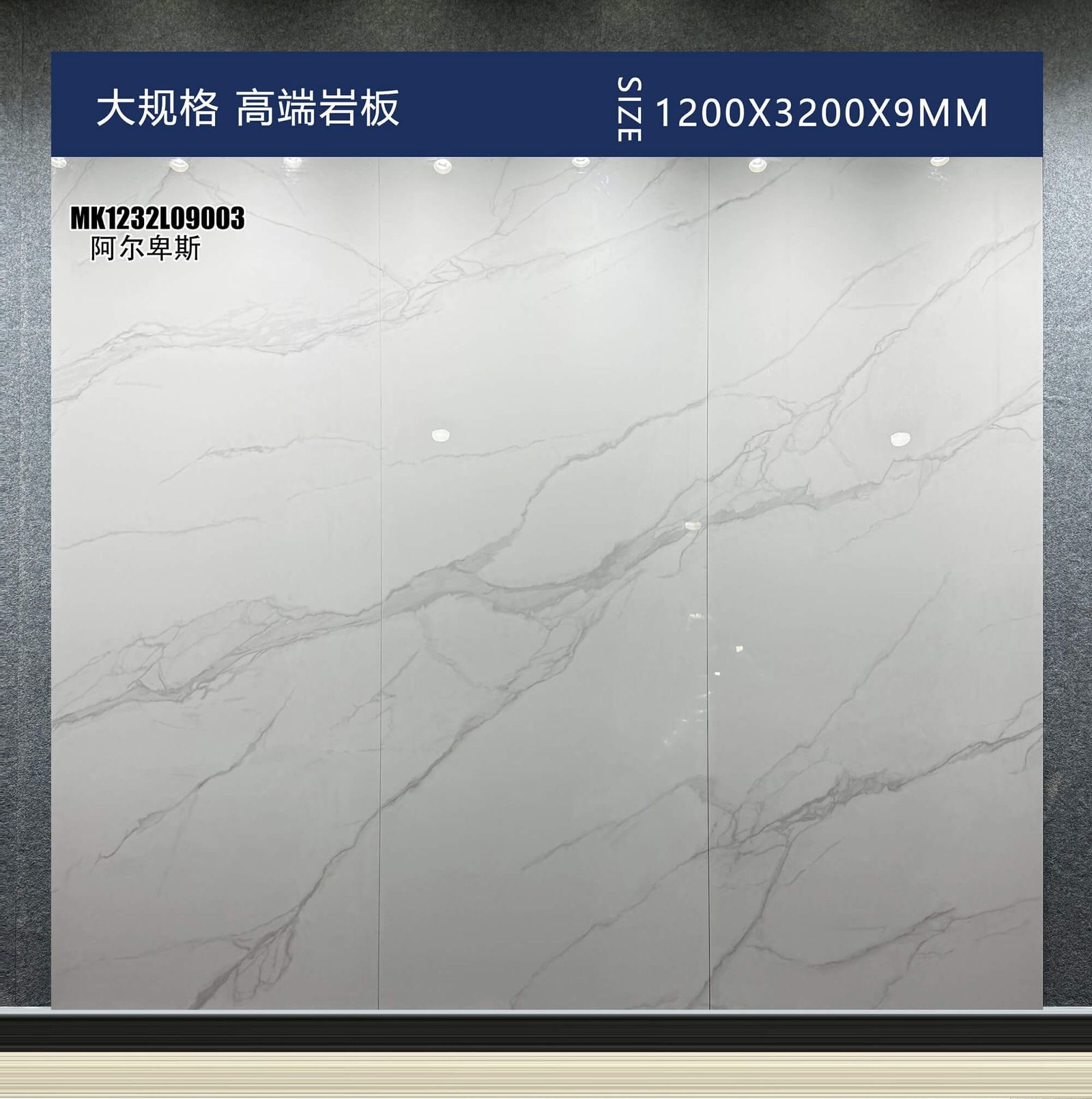 阿尔卑斯工地实拍图