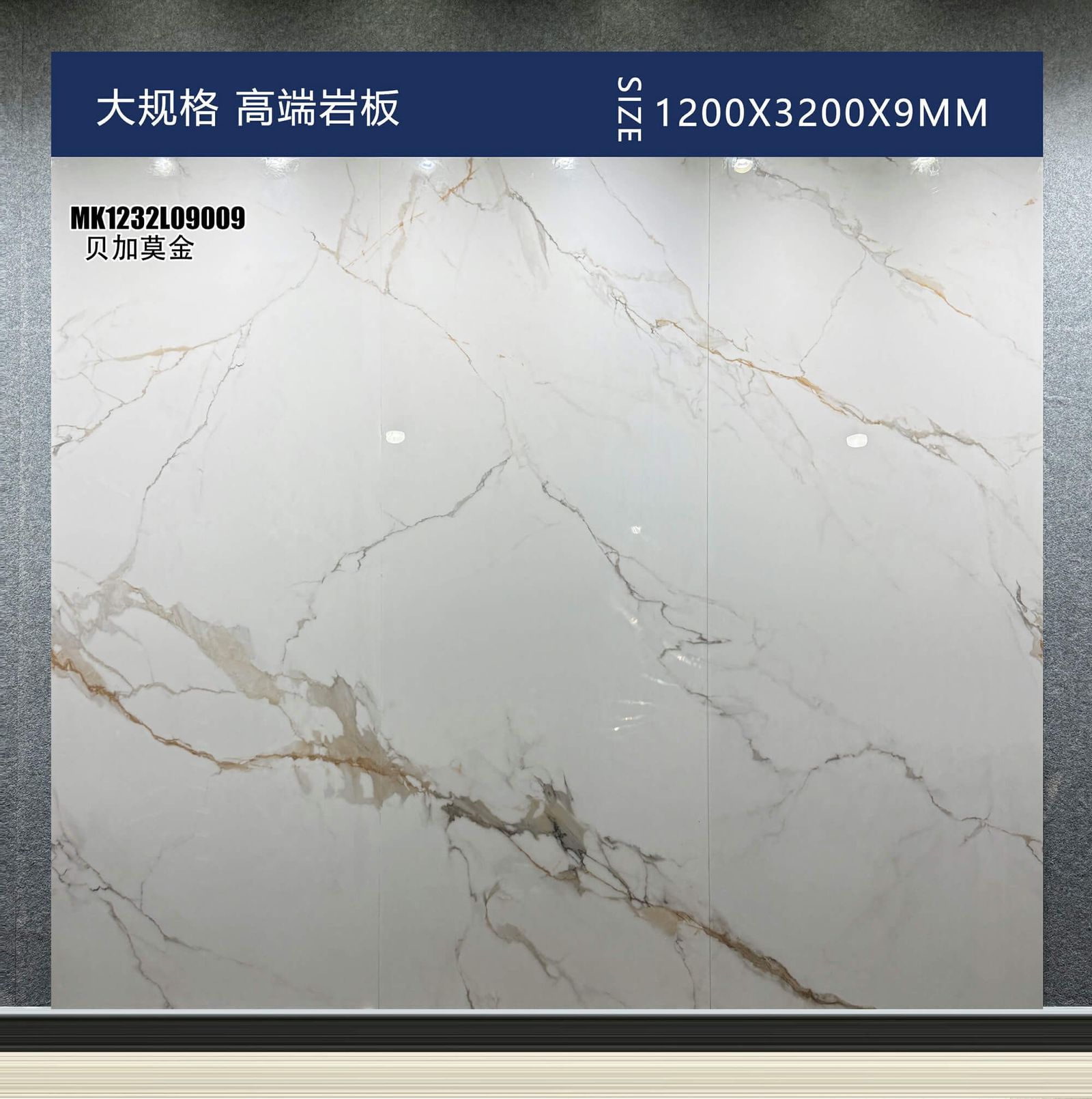 贝加莫金工地实拍图