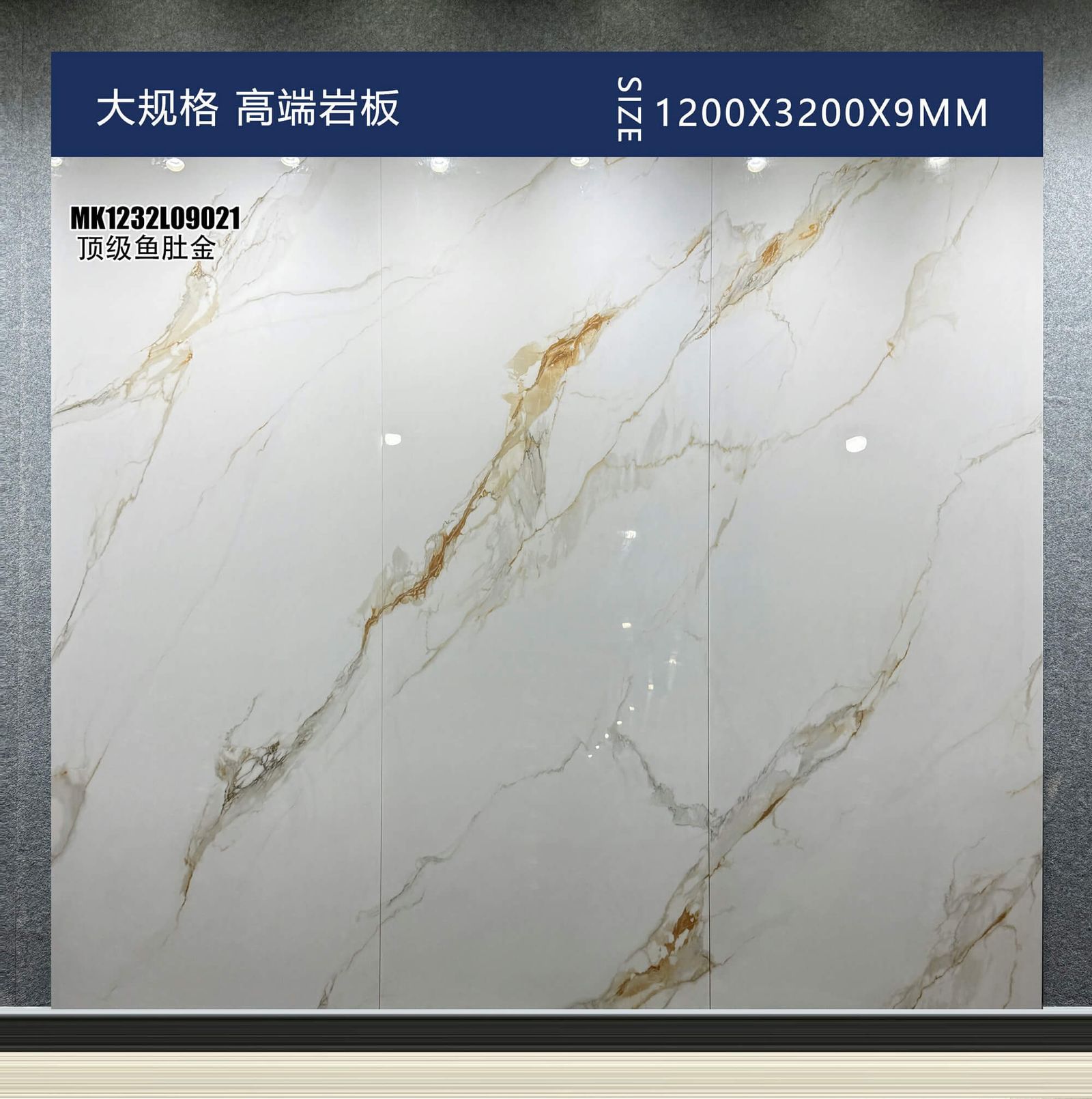 顶级鱼肚金工地实拍图