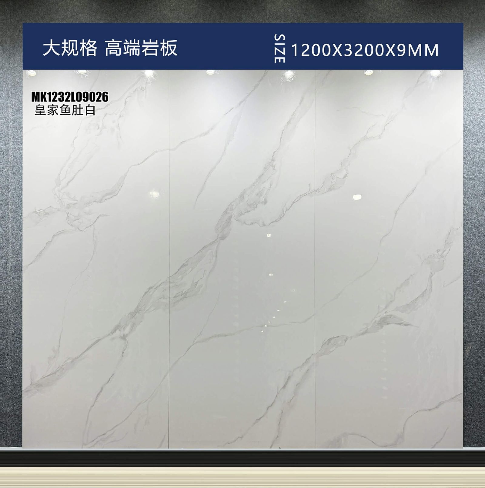 皇家鱼肚白工地实拍图