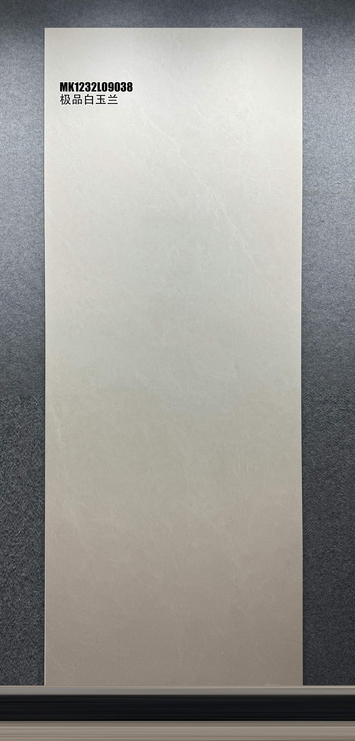 极品白玉兰工地实拍图