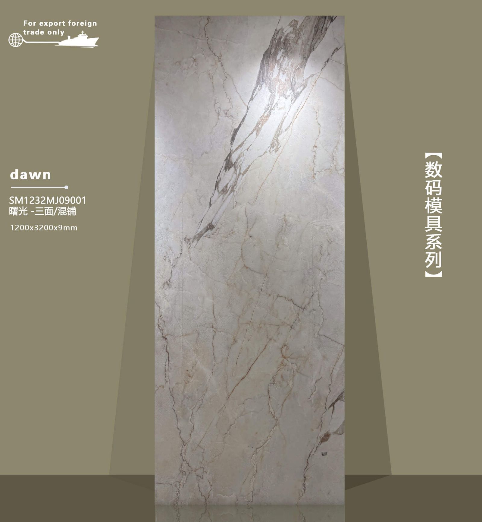 SM1232MJ09001曙光工地实拍图