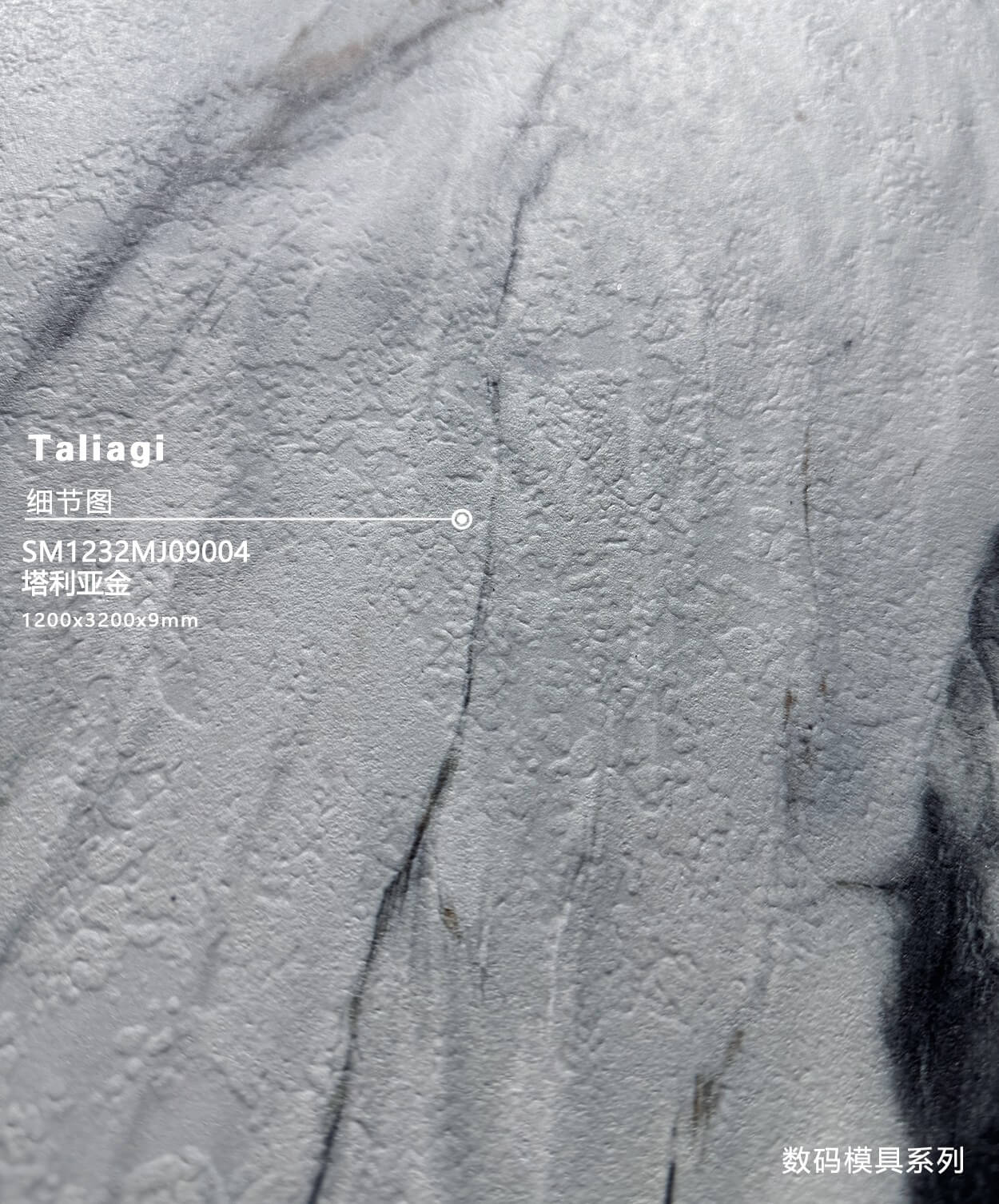 TA LI YA JIN - صورة حقيقية