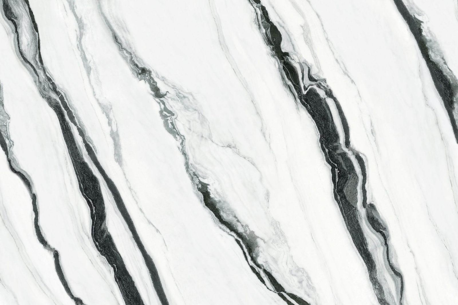XIONG MAO BAI - element view