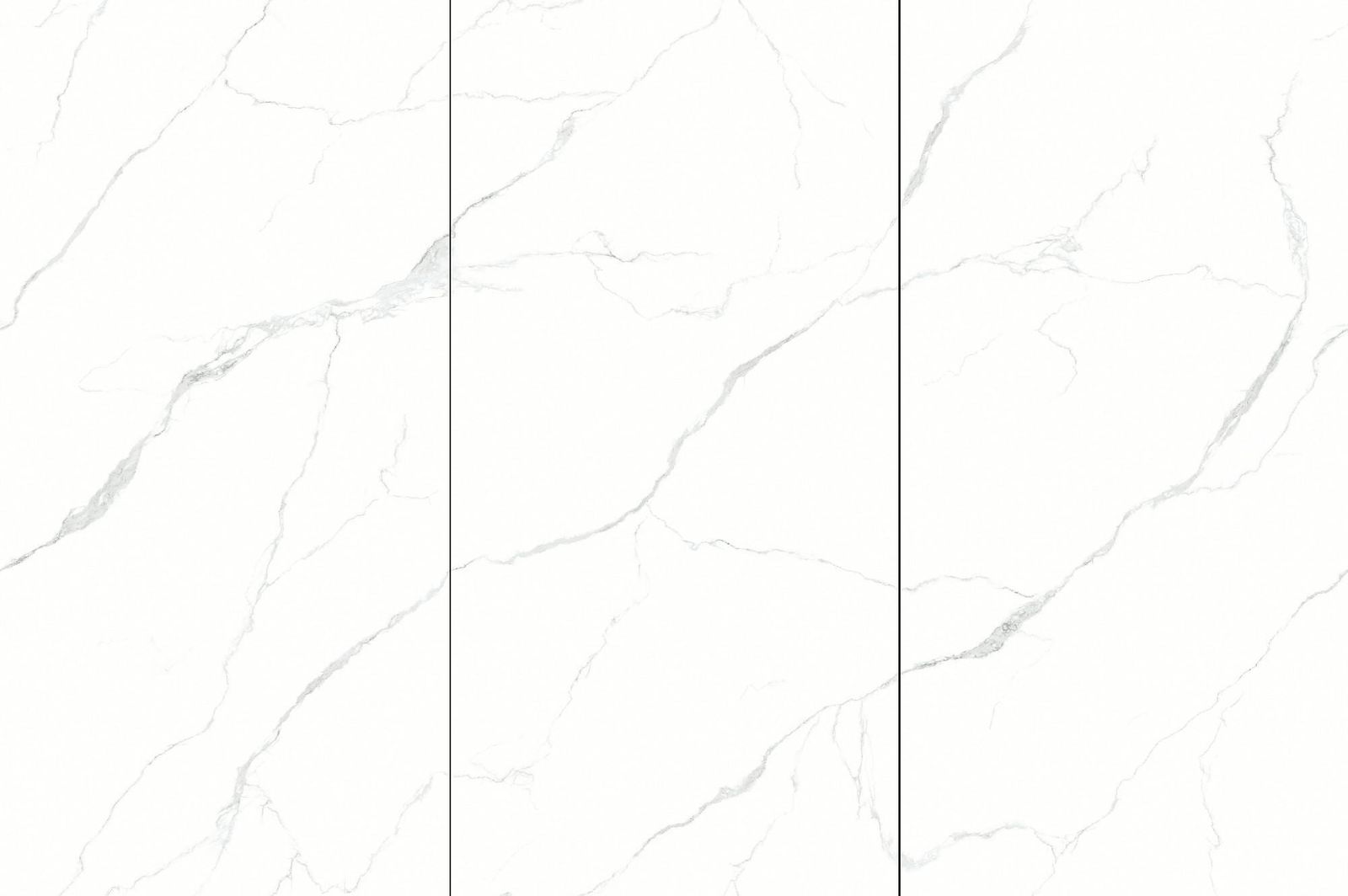 BAI XUE GONG ZHU - element view