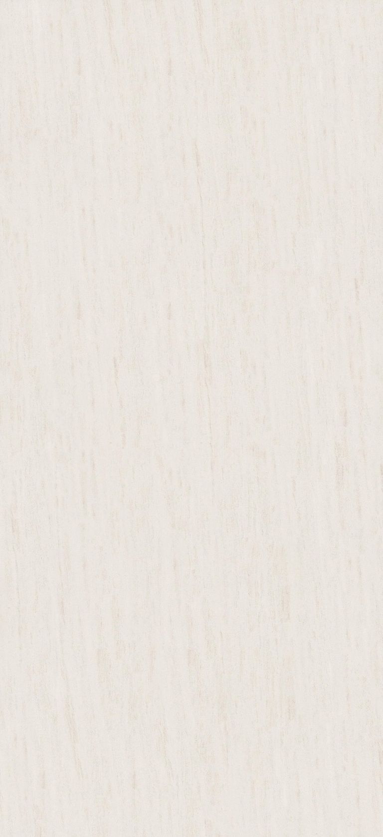 法国木化石