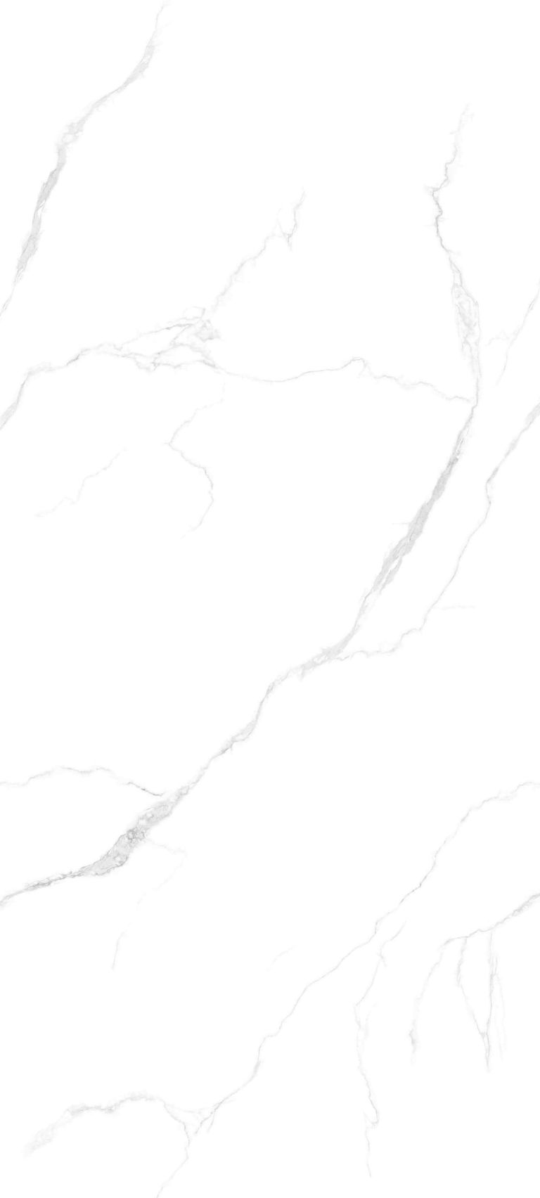 XI HUA BAI