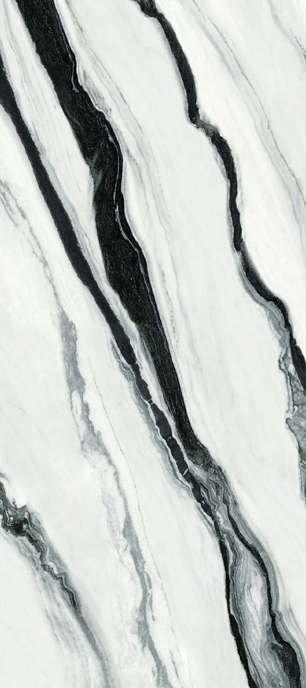 XIONG MAO BAI - element view