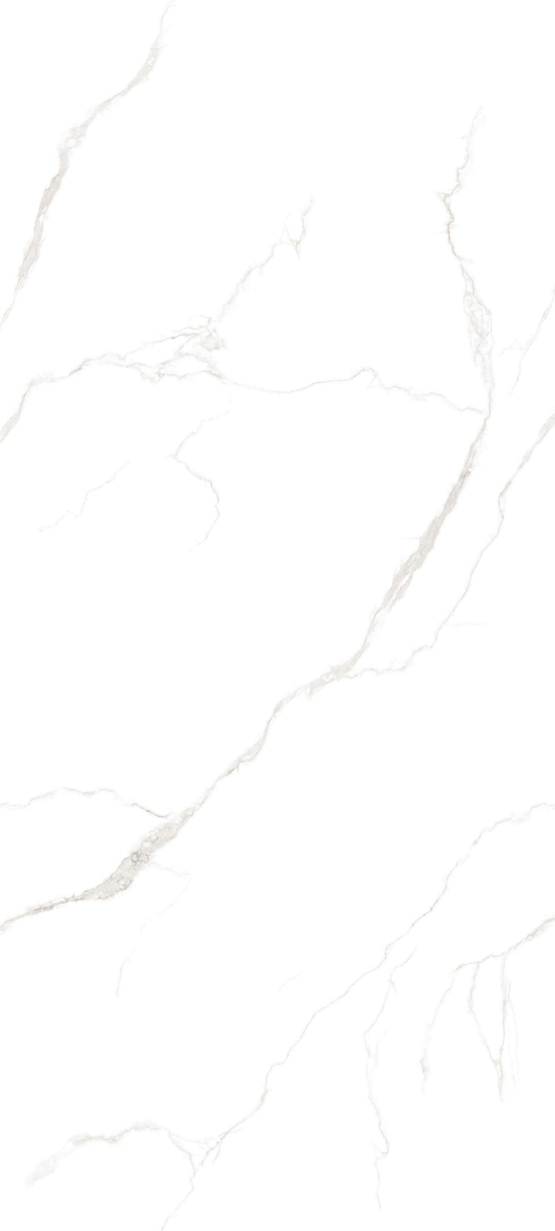XI HUA BAI - element view