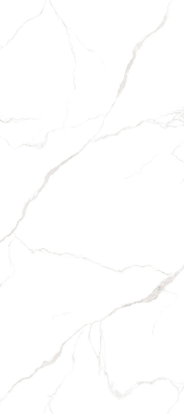 TIAN SHAN BAI
