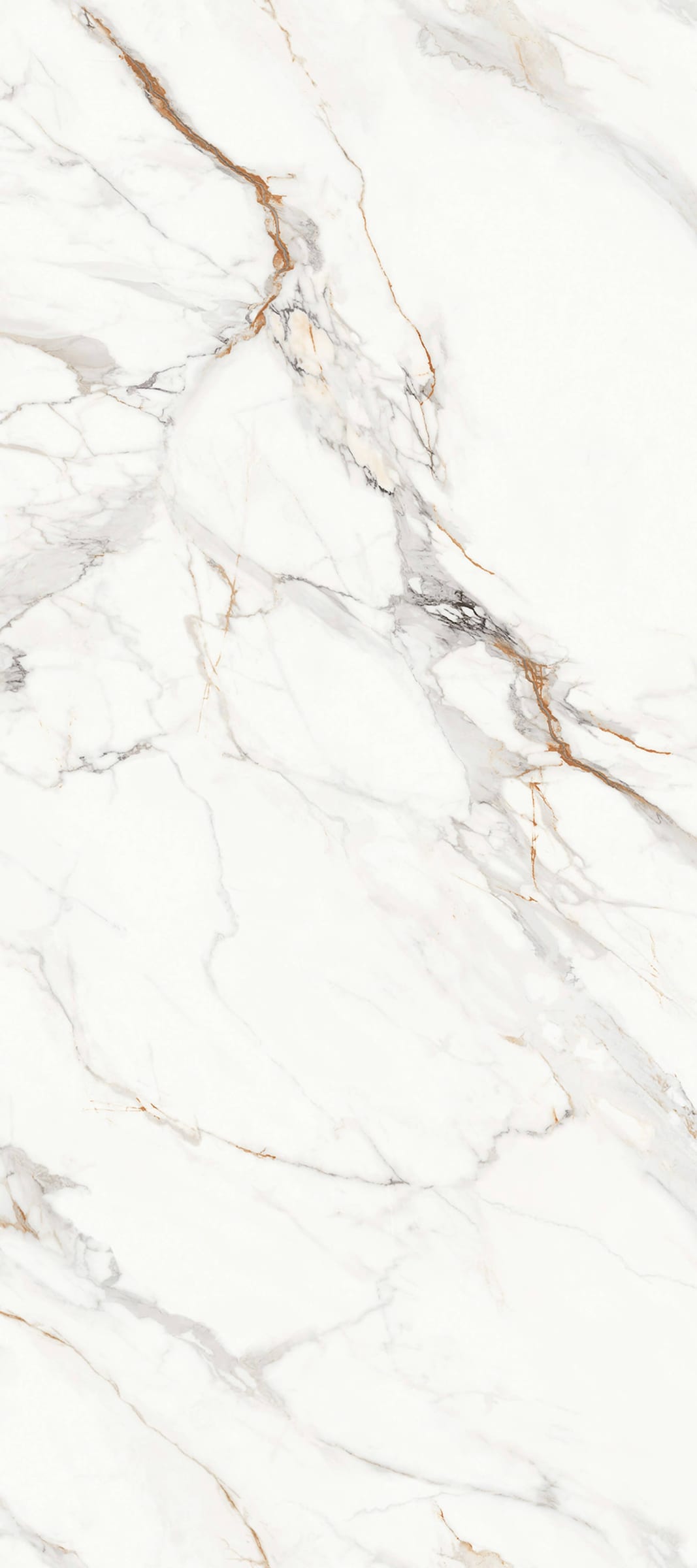 DONG FANG ZHI YUN - element view