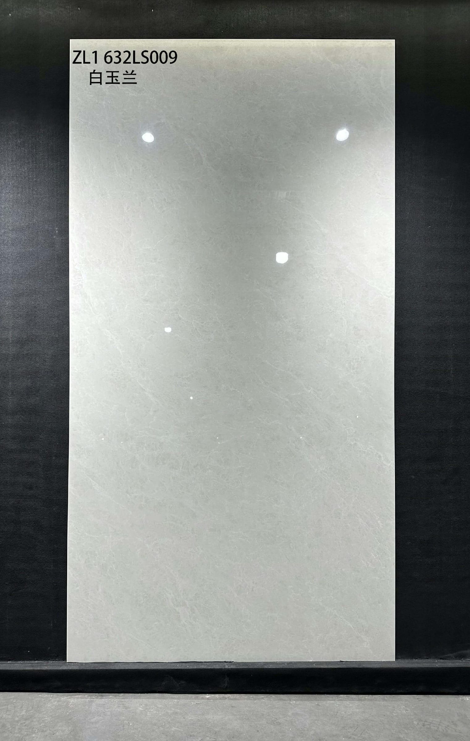 白玉兰工地实拍图
