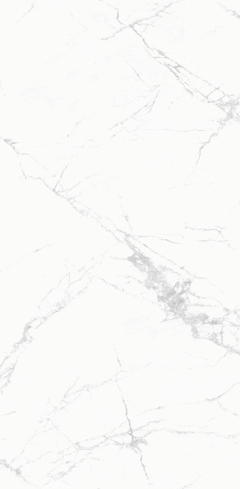 寒江雪
