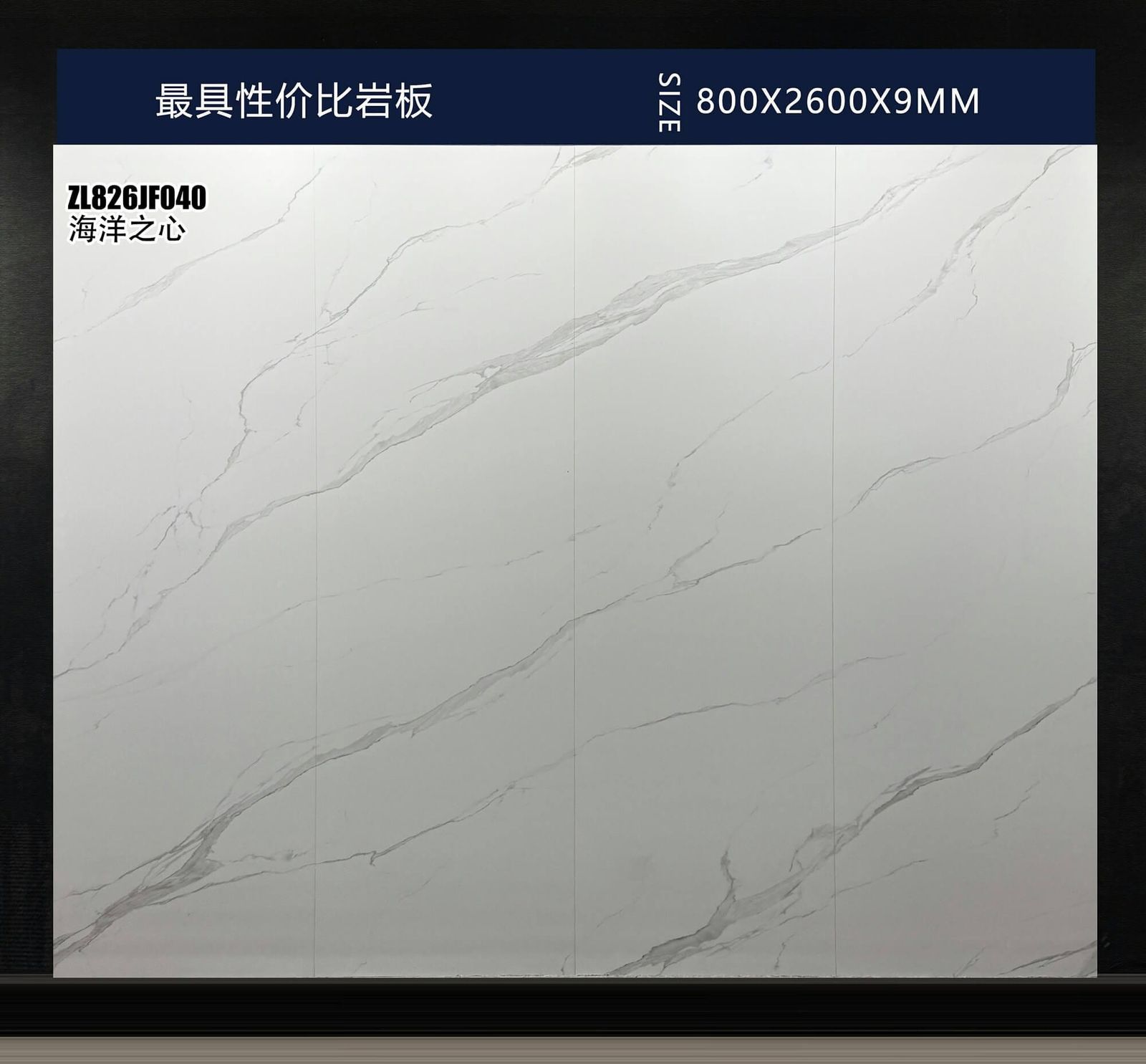 海洋之心工地实拍图