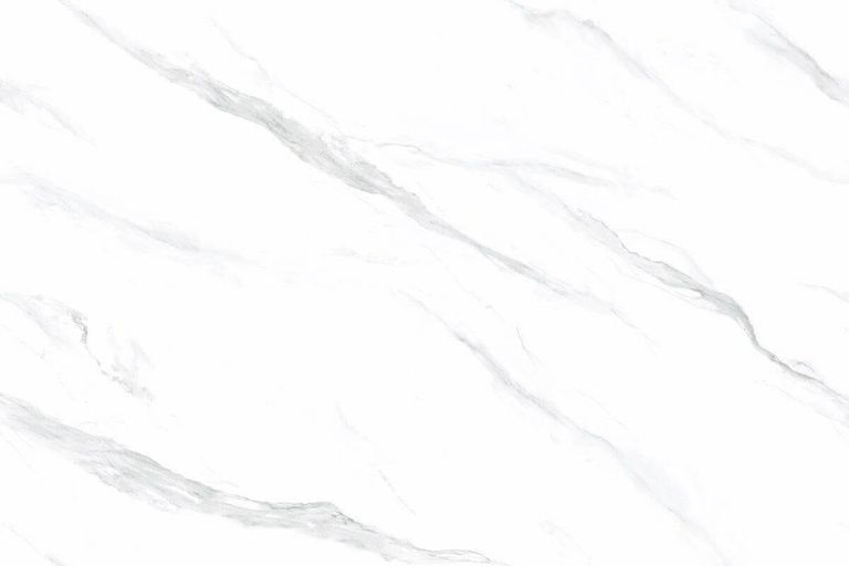 新映雪