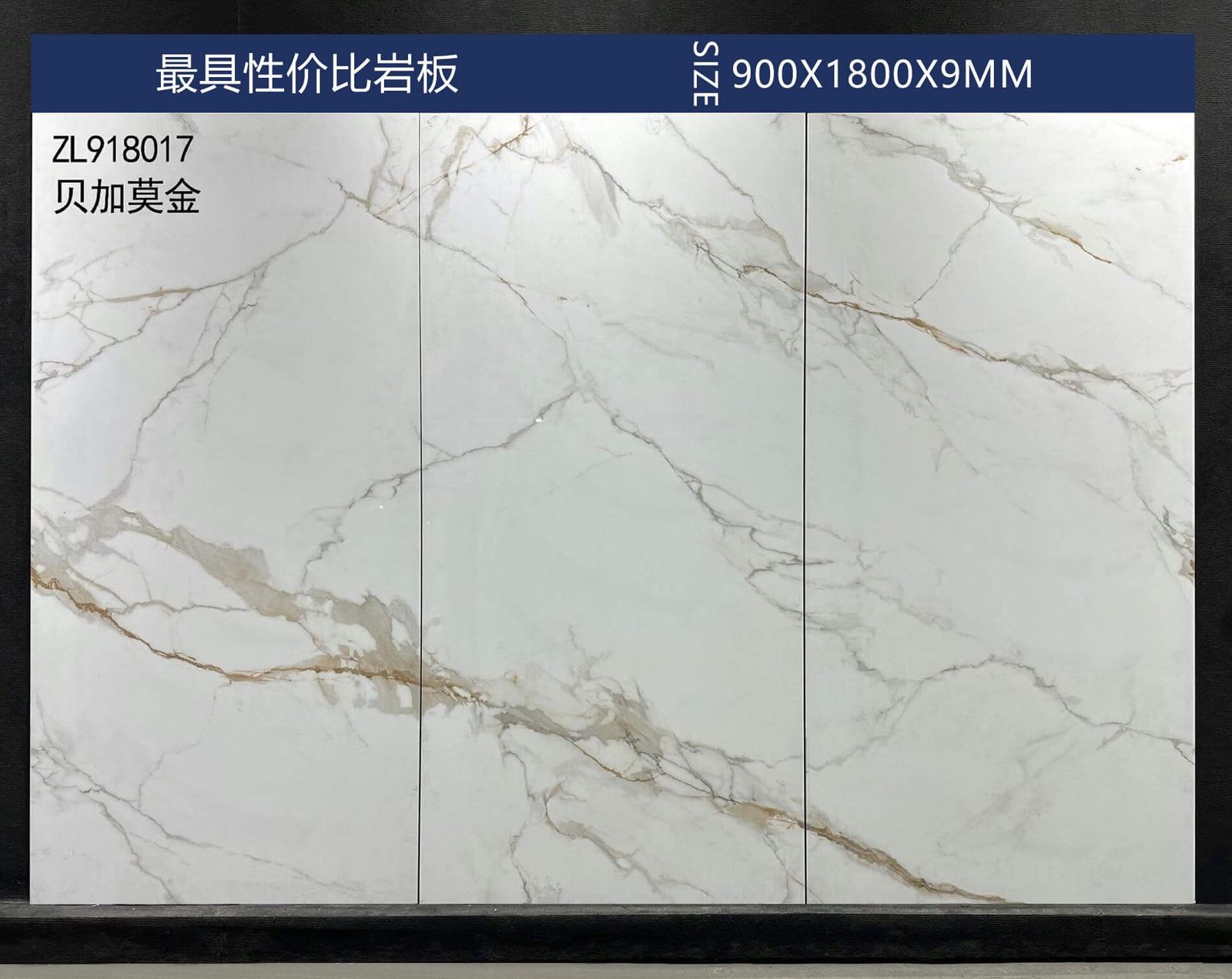 贝加莫金工地实拍图
