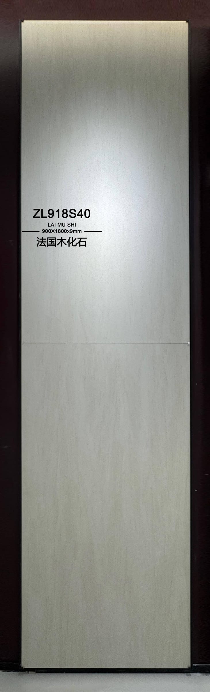 法国木化石工地实拍图