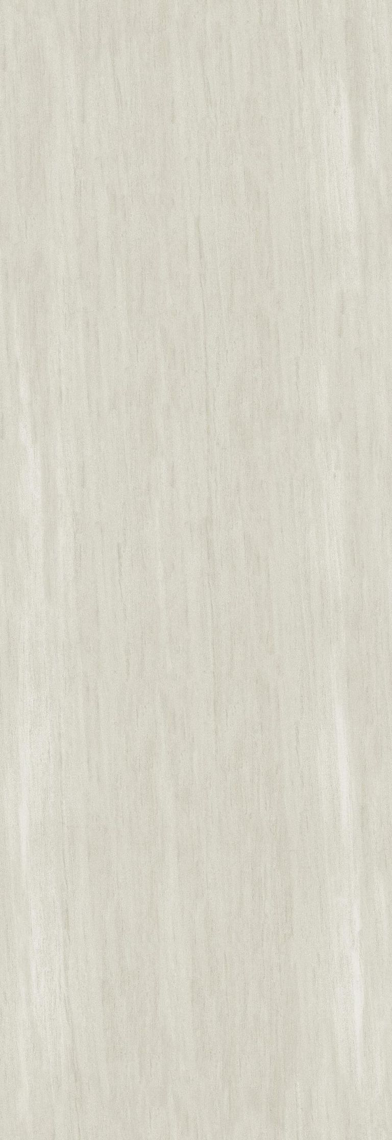 法国木化石